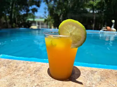 a glass of orange juice with a slice of lime at Hotel Villa Marchena in Azua de Compostela