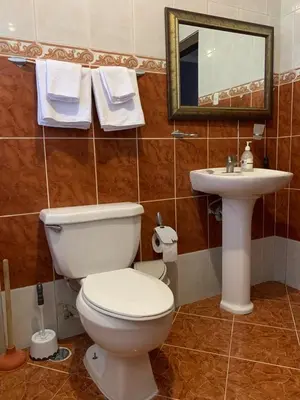 a bathroom with a toilet and a sink and a mirror at Residencia Katya in La Romana