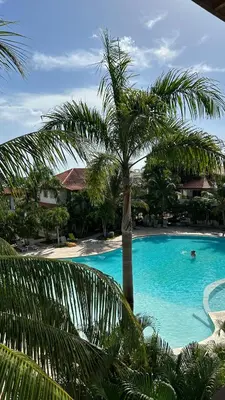 a palm tree sitting next to a swimming pool at Bayahibe Paraíso in Bayahibe