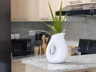a white vase with a plant in it on a kitchen counter at Apartamento de Ensueño en Las Terrenas Penthouse in Las Terrenas