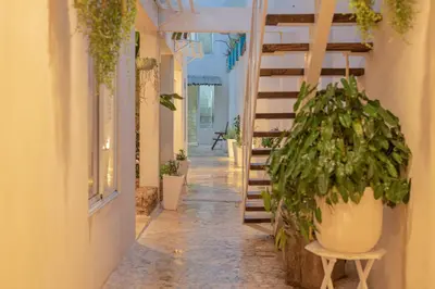 a corridor of a building with potted plants at Guacanagarix 2-Bedroom Apt Casaareito in Santo Domingo