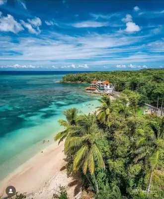 an aerial view of a beach with palm trees at Elegante Apartamento A 100 mts la playa de los Minos RSJ in Río San Juan