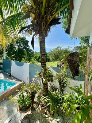a palm tree in a garden next to a swimming pool at Casa Tipo Villa, Piscina, Playas De RSJ a 4 min in Río San Juan