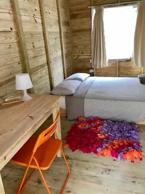 a bedroom with a bed and a desk and a pile of flowers at Mango House Camino laguna in Cabarete