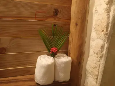 two towels on a wall with a flower in them at Samo Eco Lodge in Las Terrenas