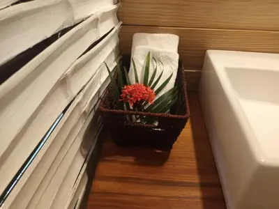 a plant in a basket next to a bathroom sink at Samo Eco Lodge in Las Terrenas