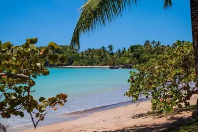 Gallery image of Estudio en playa bonita bech Residences in Las Terrenas