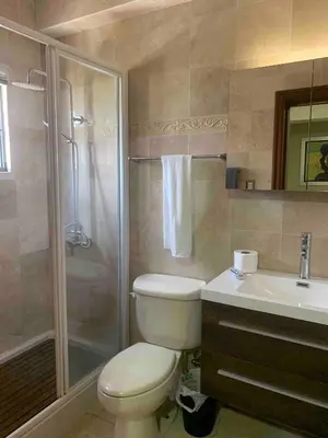 a bathroom with a toilet and a shower and a sink at Modern Centrical Evaristo Apartment With Tub in Los Prados