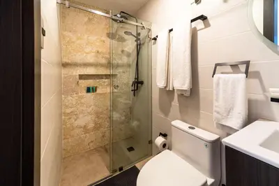 a bathroom with a shower and a toilet and a sink at Empyrean Art Deco in Santo Domingo