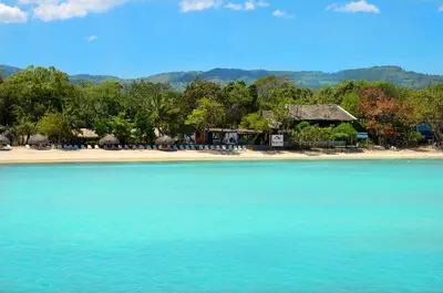 a view of a beach with trees and blue water at Paradise Island Beach Resort in Punta Rucia