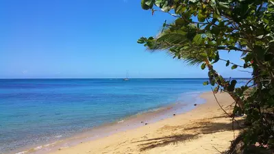 a view of a beach with a boat in the water at Aligio Apart-hotel & Spa - Las Terrenas in Las Terrenas