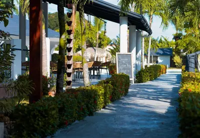 a walkway through a resort with palm trees and a restaurant at El Colibri Hotel in Sosúa