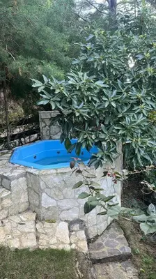 a tree in a stone wall with a blue tub at New-CasitaDeLasFlores-View-Wifi-Jacuzzi-Jarabacoa in Jarabacoa