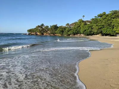 a beach with the ocean and trees in the background at 2 BR & 1WR Suite at Villa Costa Verde near Playa Cofresi, Puerto Plata with a pool, balcony, and a rooftop terrace in San Felipe de Puerto Plata