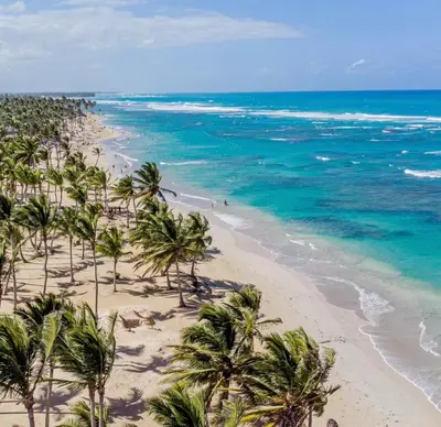 an aerial view of a beach with palm trees at Beach Front Apartments by Playa Palmera in Punta Cana
