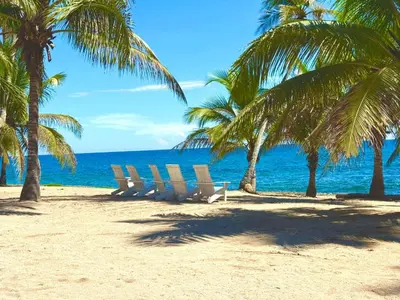 a row of chairs on a beach with palm trees at Estancia Nana Tu Refugio con Vista al Mar, Piscina, wifi, lavadora secadora Reserva Ahora in Juan Dolio