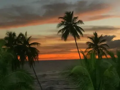 a painting of a sunset on a beach with palm trees at Estancia Nana Tu Refugio con Vista al Mar, Piscina, wifi, lavadora secadora Reserva Ahora in Juan Dolio