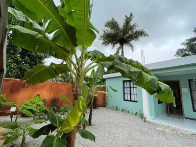 a banana tree in front of a building at Casa Monte Verde in Las Galeras