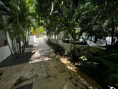 a garden with palm trees and a sidewalk at Vista Bayahibe Paradise in Bayahibe