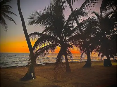 two palm trees on the beach at sunset at Apartamento l Vista al Mar Albatros BY JU Juan Dolio in Juan Dolio