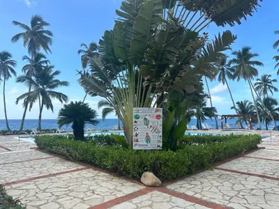 a sign in front of a beach with palm trees at Apartamento l Vista al Mar Albatros BY JU Juan Dolio in Juan Dolio
