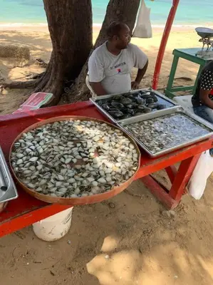 a man sitting next to a table filled with rocks at Ballenas beach C8 in Las Terrenas
