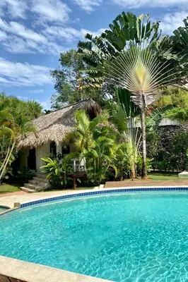 a swimming pool in front of a house with palm trees at Chalet tropical au cœur de Las Terrenas in Las Terrenas