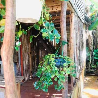 Gallery image of Ranchito PyP in Castellalito