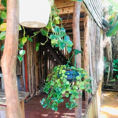 Gallery image of Ranchito PyP in Castellalito