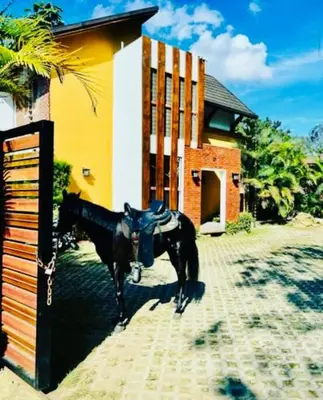 a black cow standing in front of a building at Río Privado Villa Jarabacoa con Picuzzi in Jarabacoa