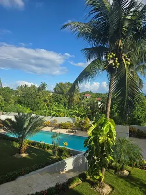 a palm tree next to a swimming pool at ENCUENTRO 2 BR, Surf, kiting, home Residencial Aris in Cabarete