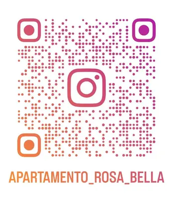 a vector illustration of a camera with the textarmazona rosa bella at Departamento Estrella en Santo Domingo in Santo Domingo