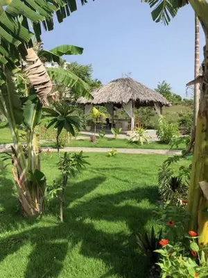 a green yard with a hut in the background at Villa KAMBUSA in Las Galeras