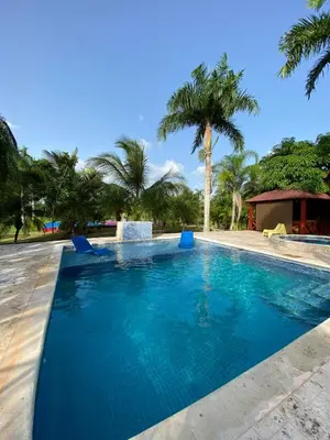 a swimming pool with blue chairs and palm trees at Villa El cocotero in La Joya