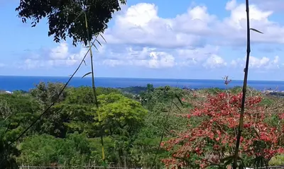 a view of a forest with the ocean in the background at B&B El Mirador al Mar in Sosúa