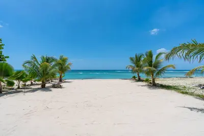 a sandy beach with palm trees and the ocean at Dolce Casa in Juan Dolio