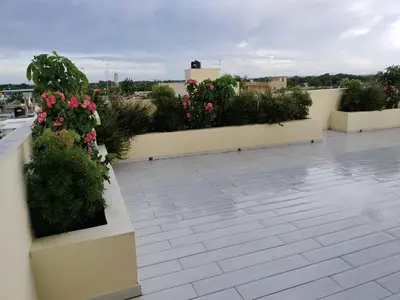 a row of planters with flowers on a roof at Agréable appartement en rooftop in La Cabirma