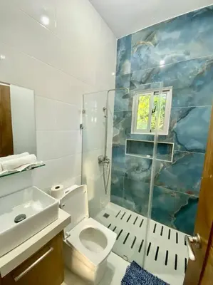 a bathroom with a shower and a toilet and a sink at Fantástico apartamento céntrico Playa a 100 mts in Río San Juan
