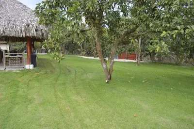 a grassy yard with a tree and a hut at Villa Doña Plinia in El Cruce