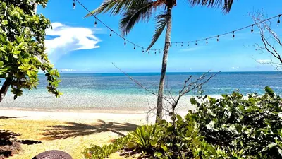 a beach with a palm tree and the ocean at Beachfront complex 3BD 3BA with pool in Las Terrenas