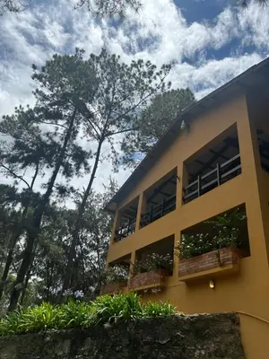 a yellow building with windows and plants at Vintage Cabin GB in Constanza