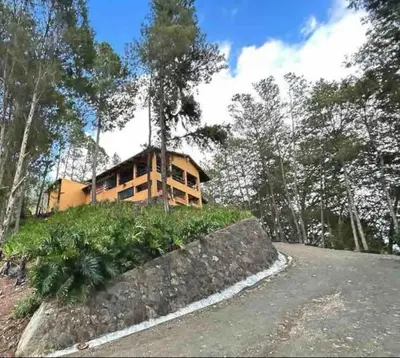a house on top of a hill with trees at Vintage Cabin GB in Constanza