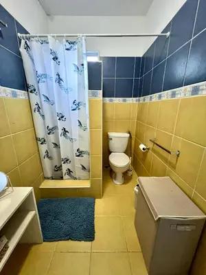 a bathroom with a toilet and a shower curtain at Apartamento Aurora in Bayahibe