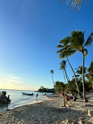 a beach with palm trees and boats in the water at Apartamento Aurora in Bayahibe