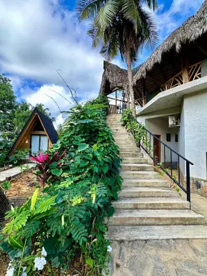 a stairway leading up to a house with a palm tree at Leisy's Garden Hostel & Rooms in Santa Bárbara de Samaná