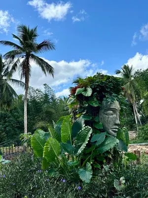 a statue of a head covered in plants at Leisy's Garden Hostel & Rooms in Santa Bárbara de Samaná