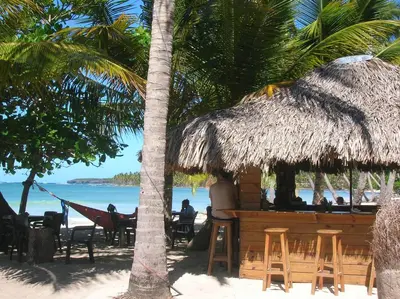 a bar on the beach with chairs and a palm tree at Casa Por Que No in Las Galeras