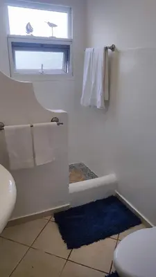 a bathroom with a toilet and a window and a blue rug at Caribe Home Dominicus Oleandra 3 in La Laguna
