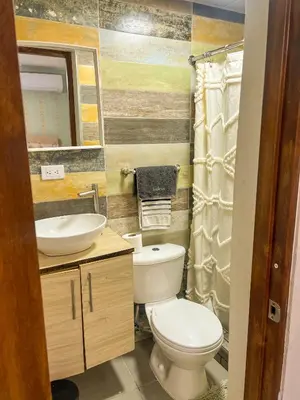 a bathroom with a toilet and a sink and a mirror at Colonial leyton apartment in Santo Domingo