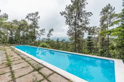 a swimming pool in the middle of a forest at Majestic villa with stunning views in Jarabacoa in Buena Vista